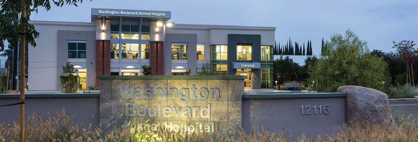 Washington Boulevard Animal Hospital | Whittier veterinarians